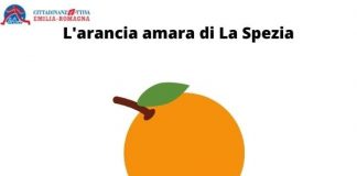 arancia amara